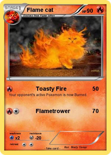 Pokemon Flame cat