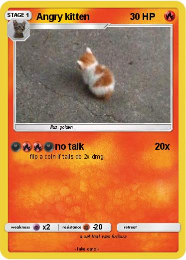 Pokemon Angry kitten