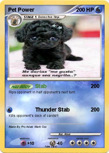 Pokemon Pet Power