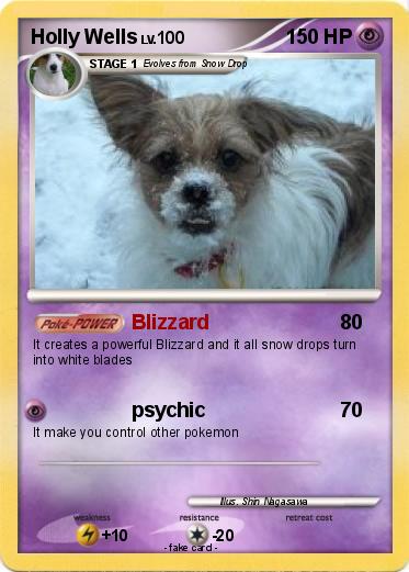 Pokemon Holly Wells