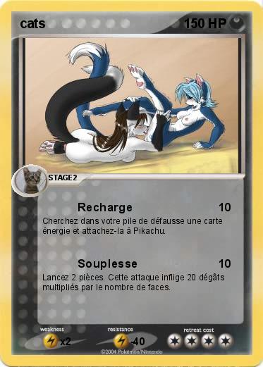 Pokemon cats
