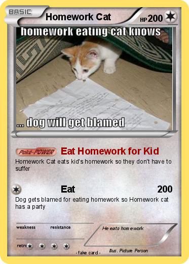Pokemon Homework Cat