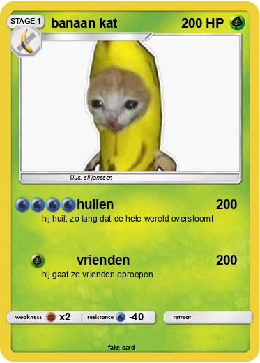 Pokemon banaan kat