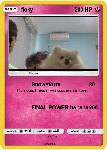 Pokemon floky