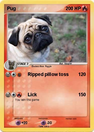 Pokemon Pug