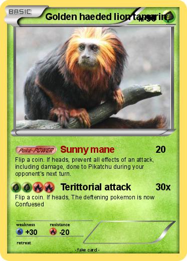 Pokemon Golden haeded lion tamarin