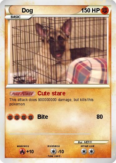 Pokemon Dog