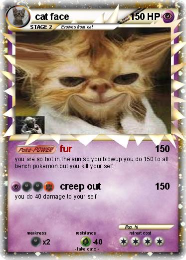 Pokemon cat face