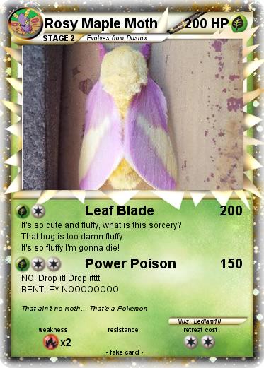 Pokemon Rosy Maple Moth