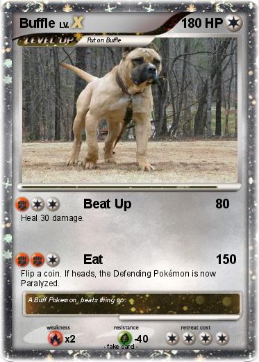 Pokemon Buffle