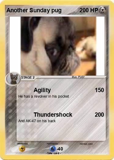 Pokemon Another Sunday pug