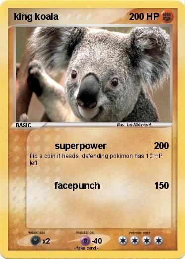 Pokemon king koala