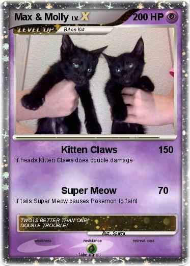 Pokemon Max & Molly