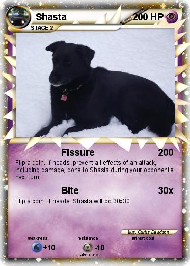 Pokemon Shasta