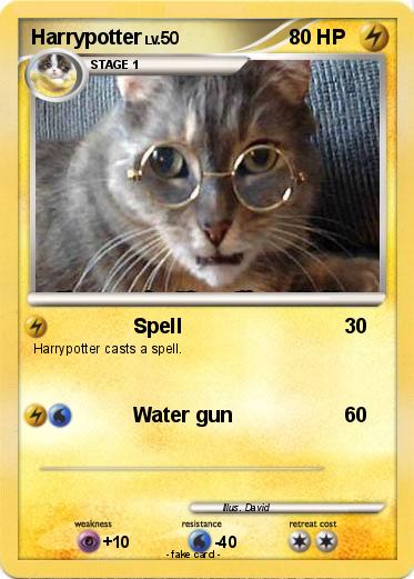 Pokemon Harrypotter