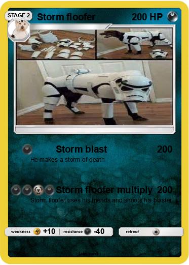 Pokemon Storm floofer