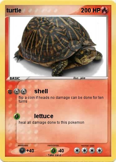 Pokemon turtle