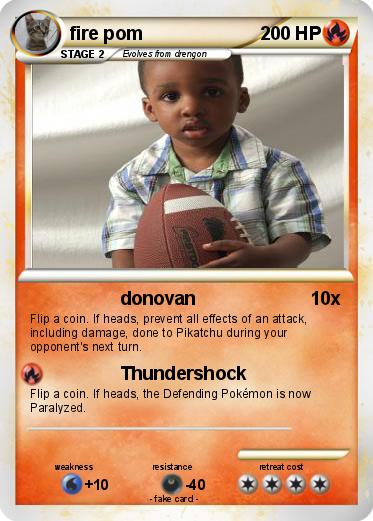 Pokemon fire pom