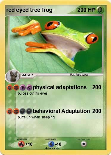 Pokemon red eyed tree frog