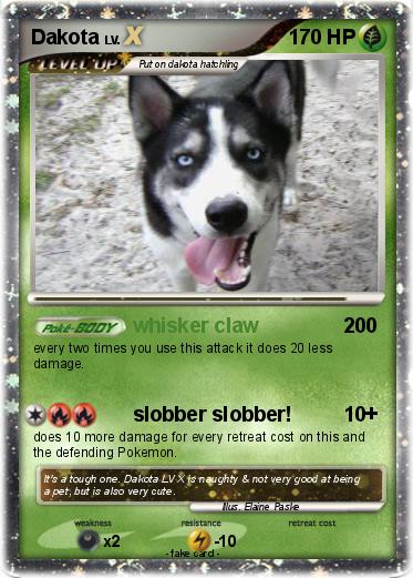 Pokemon Dakota