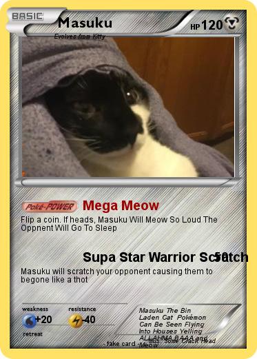 Pokemon Masuku Pokemon Masuku