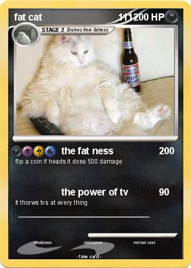 Pokemon fat cat                             111