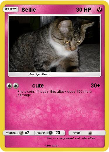 Pokemon Sellie