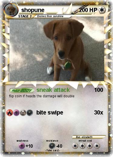 Pokemon shopune