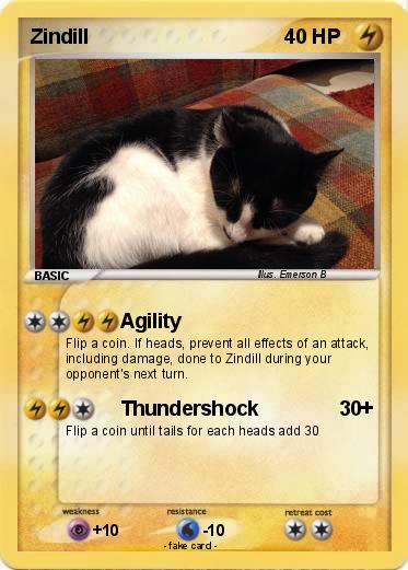 Pokemon Zindill