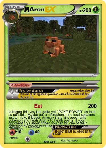 Pokemon Aron