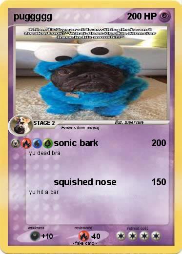 Pokemon puggggg
