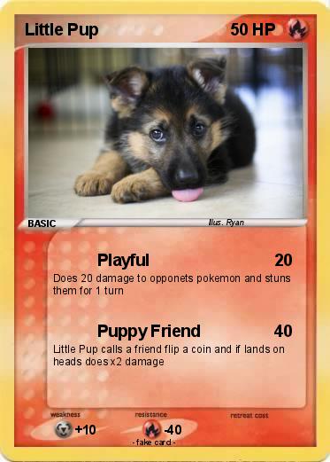 Pokemon Little Pup