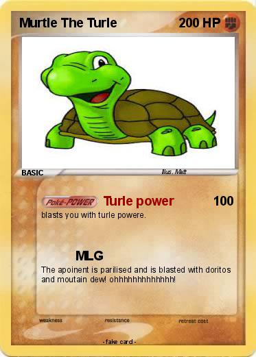 Pokemon Murtle The Turle