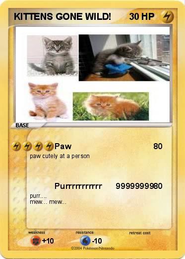 Pokemon KITTENS GONE WILD!