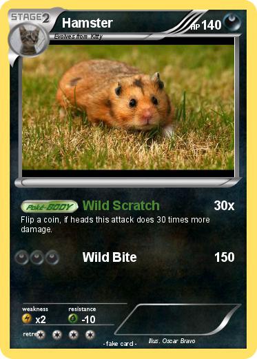 Pokemon Hamster