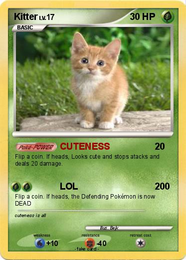 Pokemon Kitter