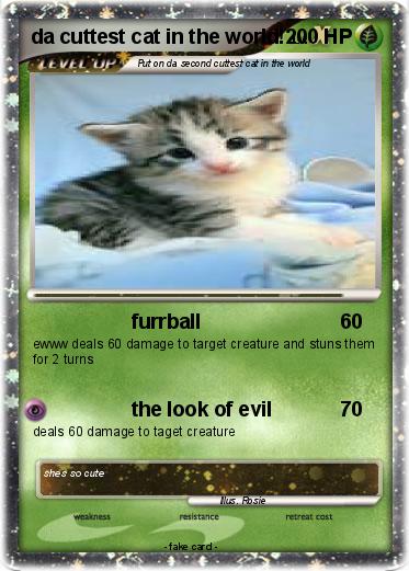 Pokemon da cuttest cat in the world!