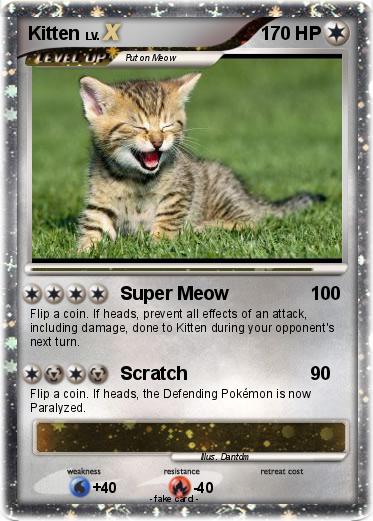 Pokemon Kitten