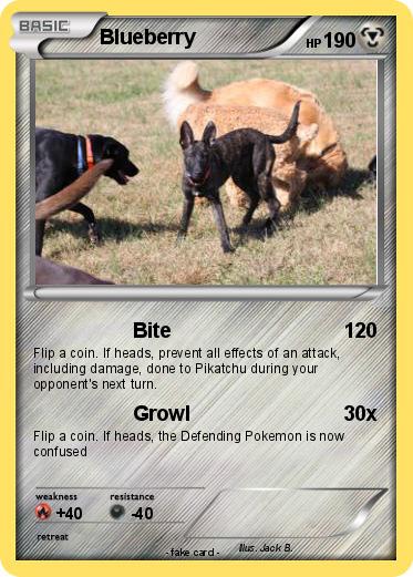 Pokemon Blueberry