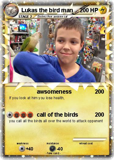 Pokemon Lukas the bird man