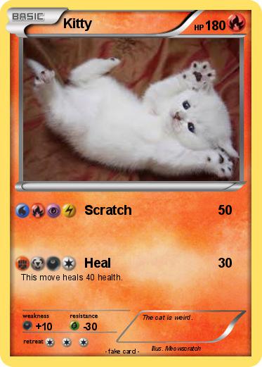 Pokemon Kitty