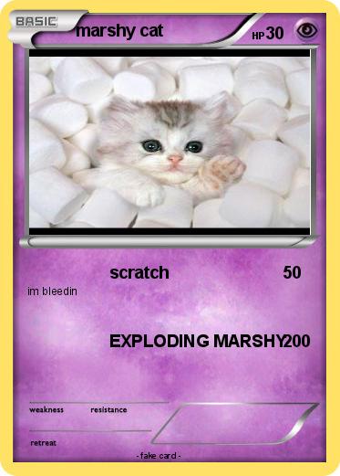 Pokemon marshy cat