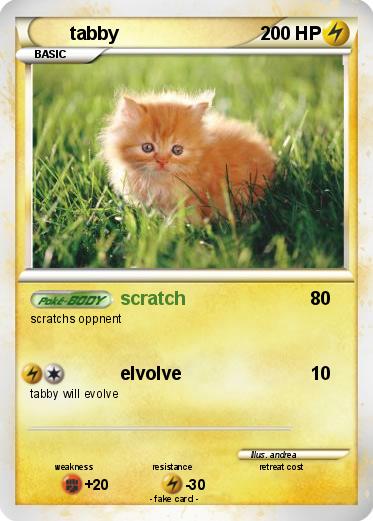 Pokemon tabby