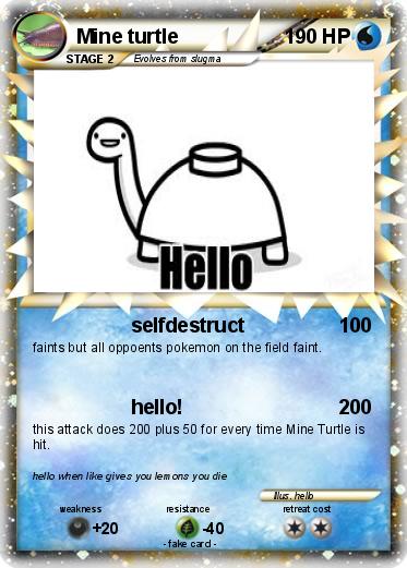 Pokemon Mine turtle