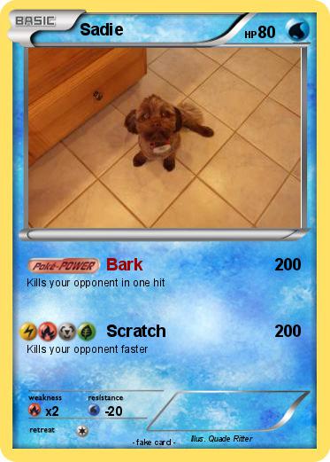 Pokemon Sadie