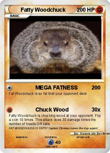 Pokemon Fatty Woodchuck