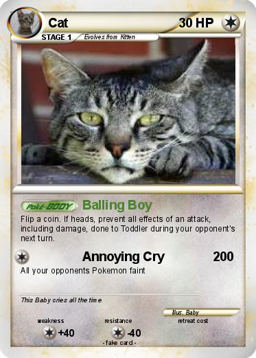 Pokemon Cat