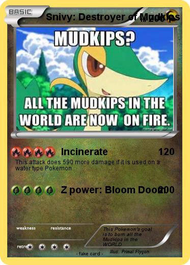 Pokemon Snivy: Destroyer of Mudkips