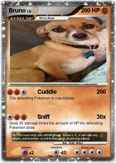 Pokemon Bruno