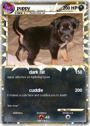 Pokemon puppy